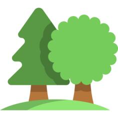 Pine tree