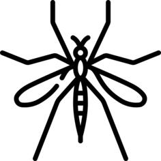 Mosquito