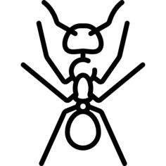 Ant