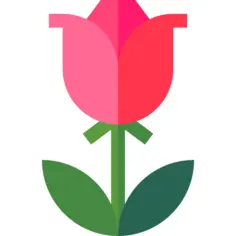 玫瑰