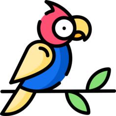 Parrot