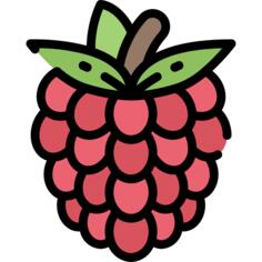 Raspberries