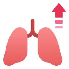 Lung