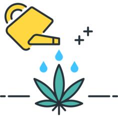 Irrigate