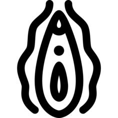 阴道