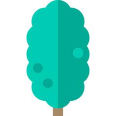 Elm