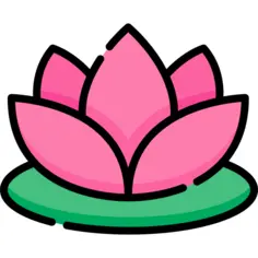 莲花