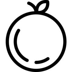 橙子