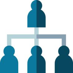 Management