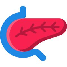 胰腺