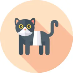 猫