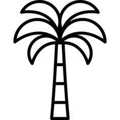棕榈树