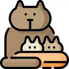 猫