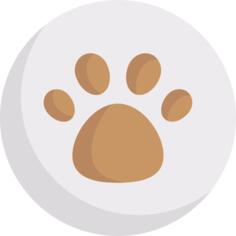 Pets