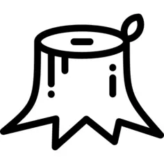 树墩