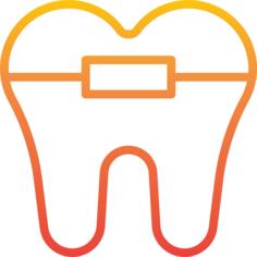 Braces