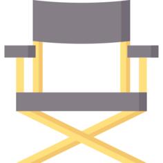 Director chair