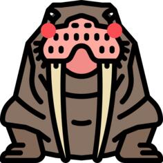 Walrus