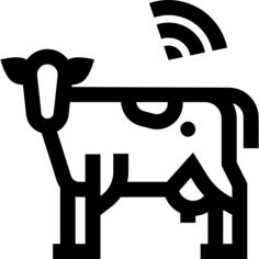 动物