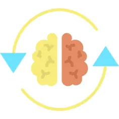 Brain