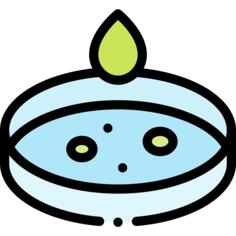 菌