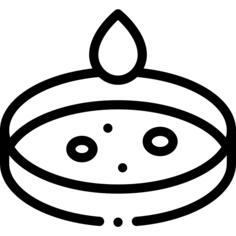 菌