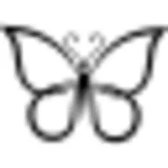 蝴蝶形状概述顶视图