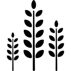 三根树枝