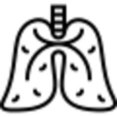 Lungs