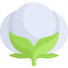 棉