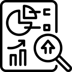 报告