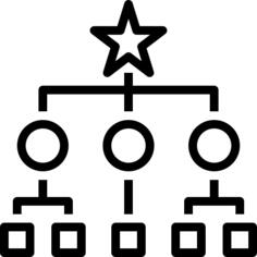 Organization
