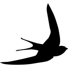 Swift bird shape