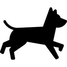狗跑
