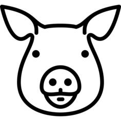 Pig Head