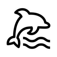 海豚