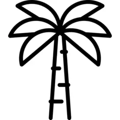 Palm Tree