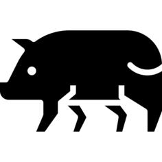 Pork