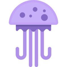 海蜇