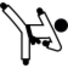 Karate High Kick