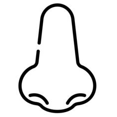 Nose