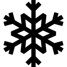 Winter Snow Flake