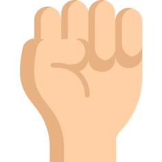 Fist