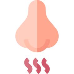 Aroma
