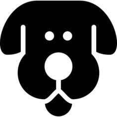 Face of staring dog
