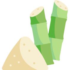 Sugar cane