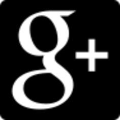 Google加社交标识