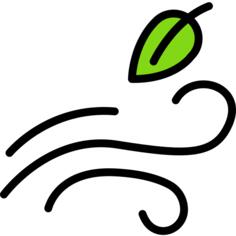 Wind