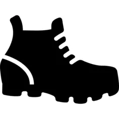 Mountain shoe boot