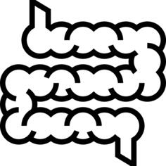 Intestine